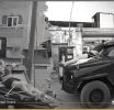Abyan Outrage: WJWC Condemns Corpse Mutilation by STC Forces